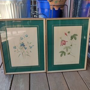 P.J. Redoute French Botanical Floral Print Pair 2 Matted Framed 18.75x14.5"